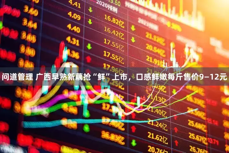 问道管理 广西早熟新藕抢“鲜”上市，口感鲜嫩每斤售价9—12元